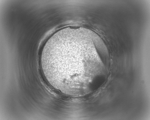 X0000066010149200603171515