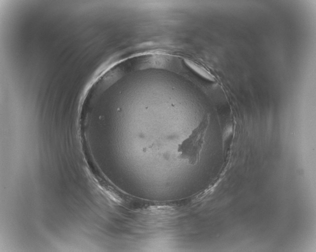 X0000066010150200603171515