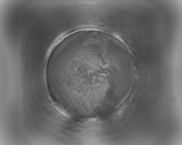 X0000066010151200603171515