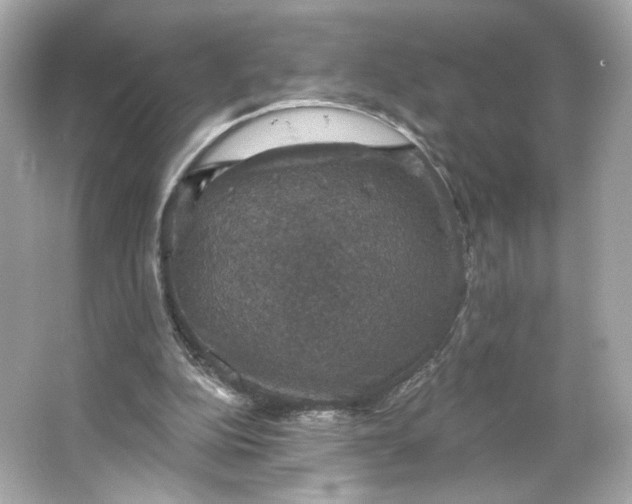 X0000066010152200603171515