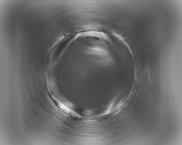 X0000066010154200603171515