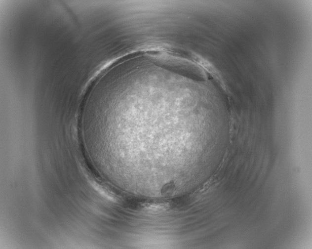 X0000066010155200603171515