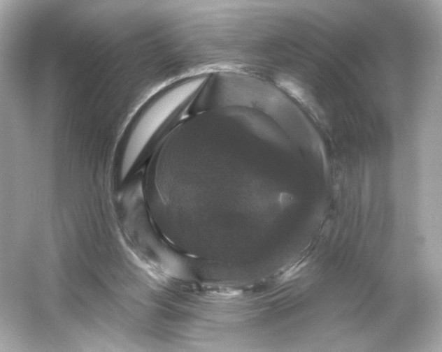 X0000066010156200603171515