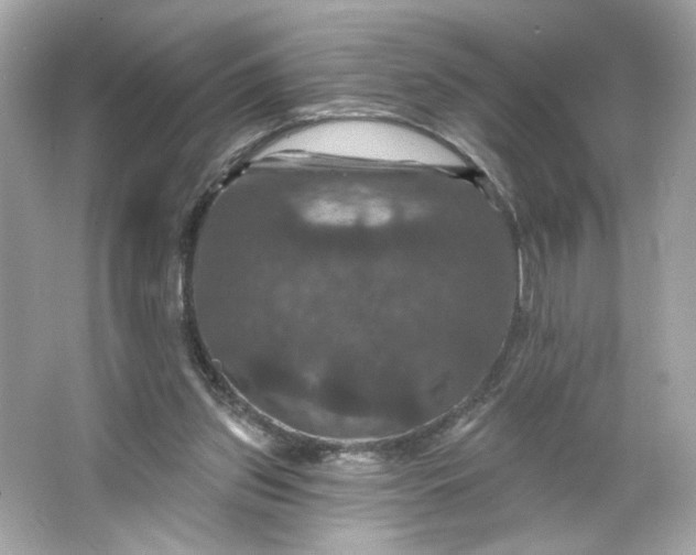 X0000066010157200603171515