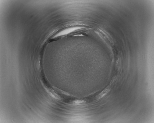 X0000066010158200603171515