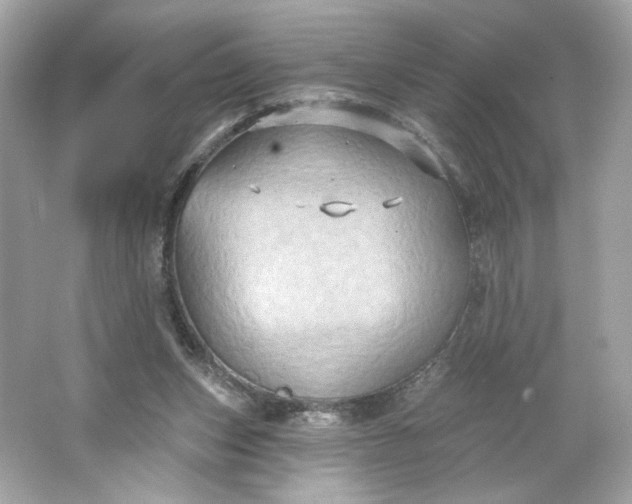 X0000066010159200603171515