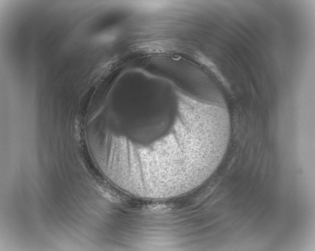 X0000066010161200603171515