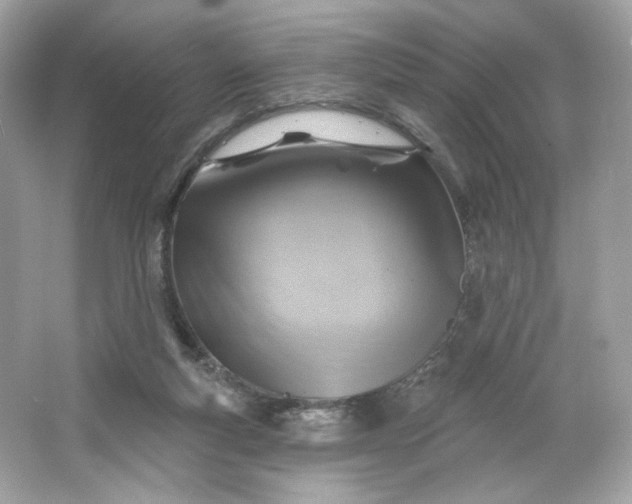 X0000066010163200603171515