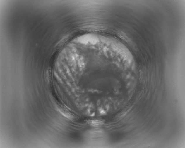 X0000066010165200603171515