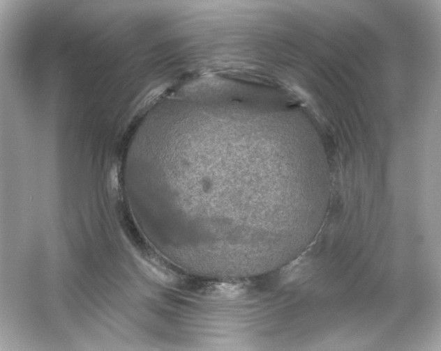 X0000066010166200603171515