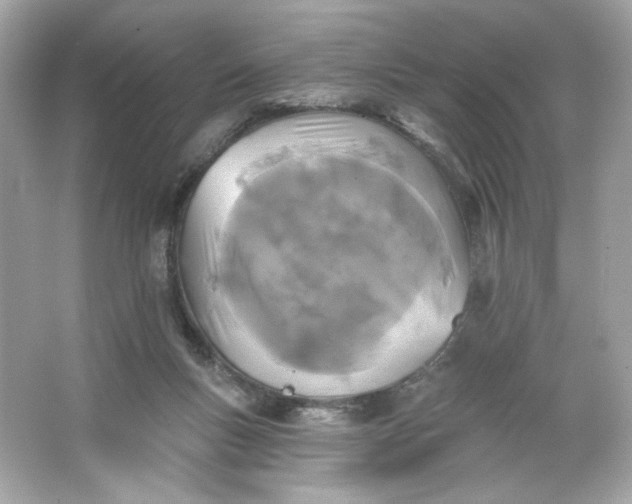 X0000066010167200603171515