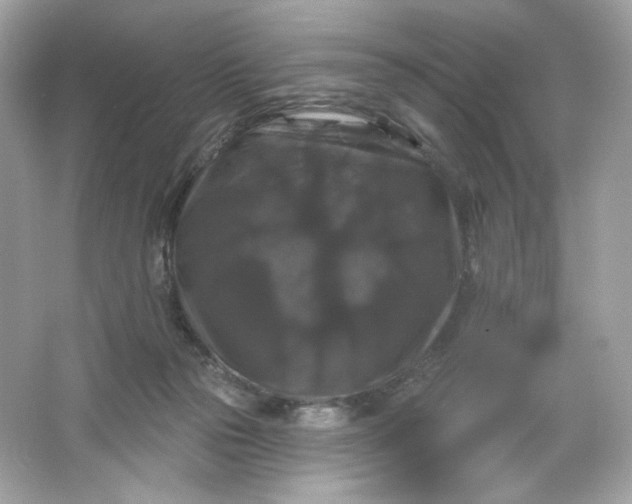 X0000066010169200603171515