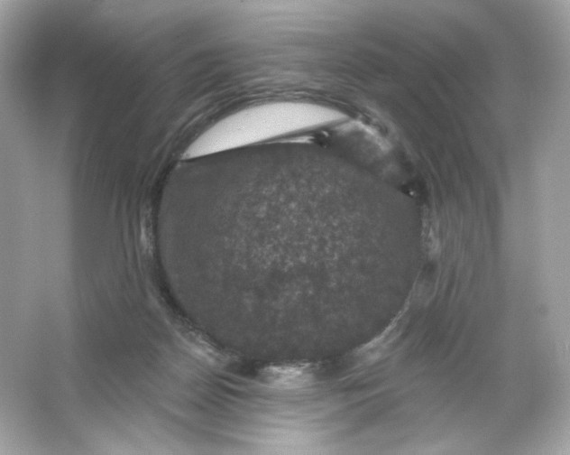 X0000066010170200603171515