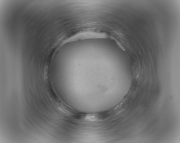 X0000066010171200603171515