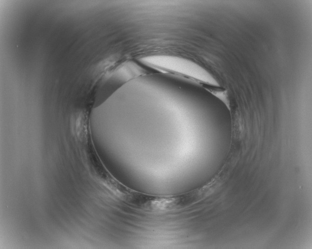 X0000066010172200603171515