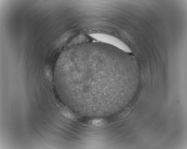 X0000066010173200603171515