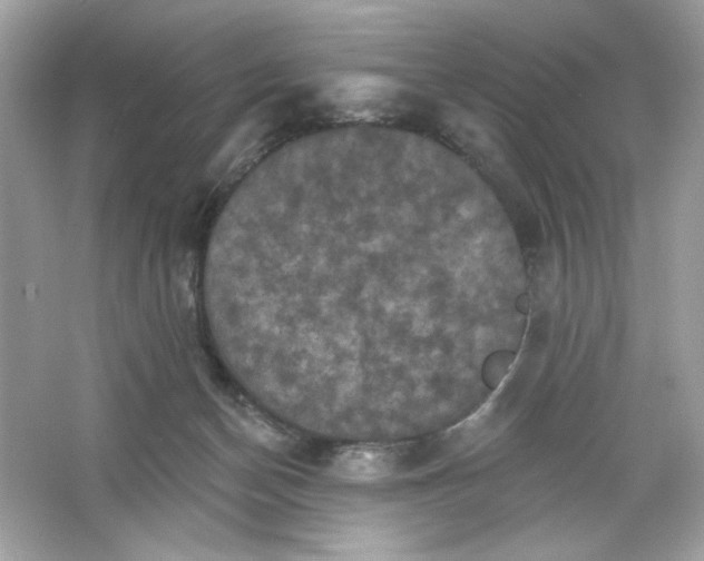 X0000066010174200603171515