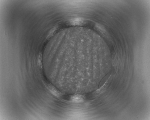 X0000066010175200603171515