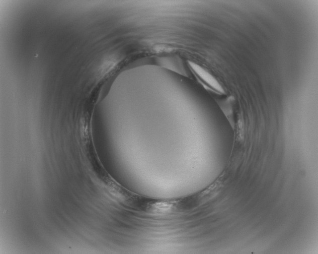 X0000066010176200603171515