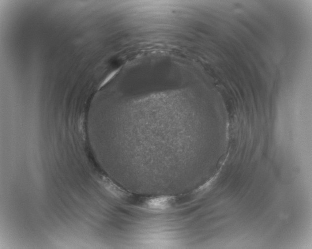 X0000066010178200603171515