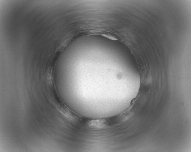 X0000066010179200603171515