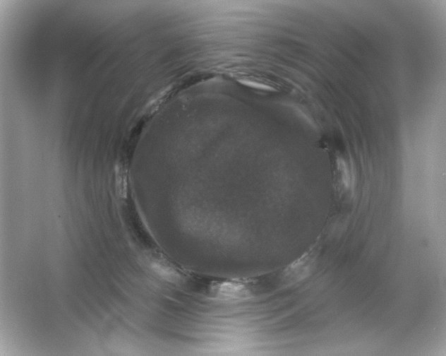 X0000066010180200603171515