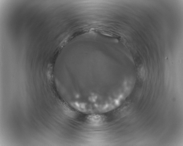 X0000066010181200603171515