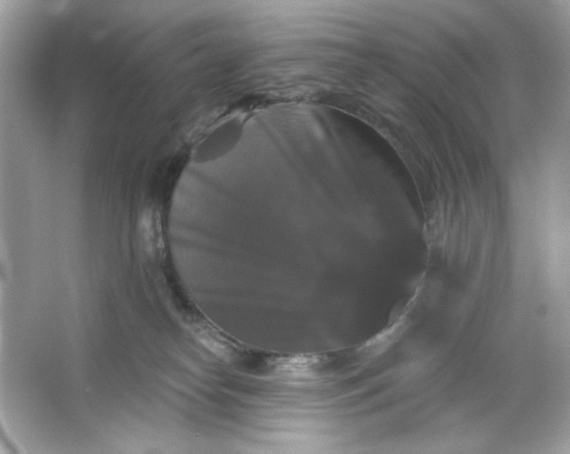 X0000066010182200603171515