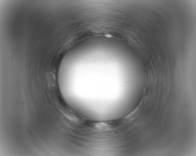 X0000066010183200603171515