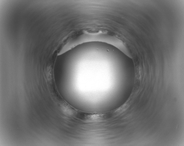 X0000066010184200603171515