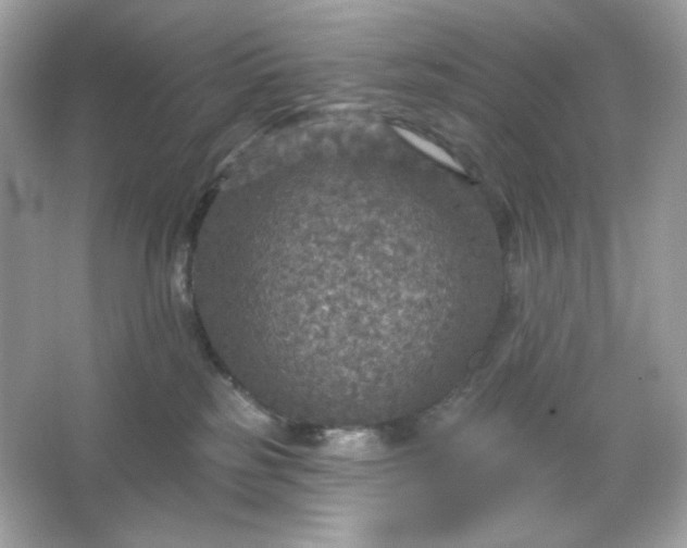 X0000066010185200603171515