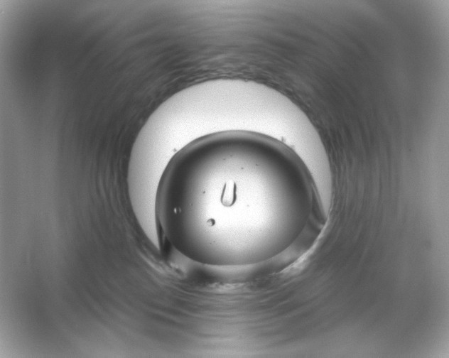 X0000066010186200603171515