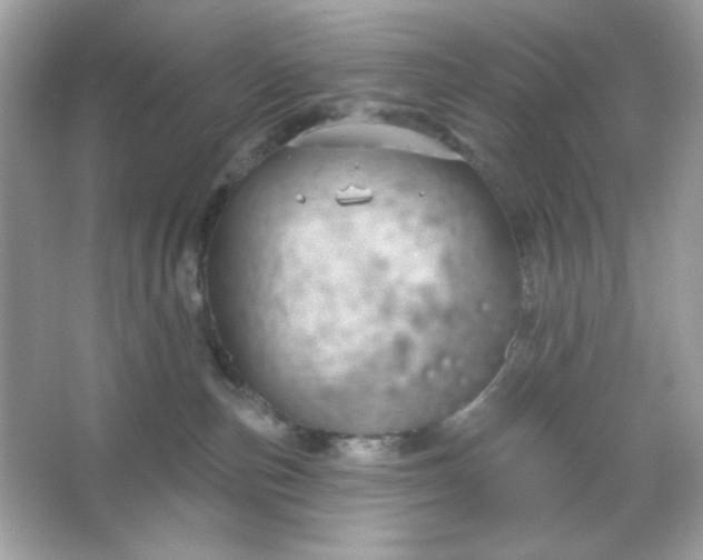 X0000066010187200603171515