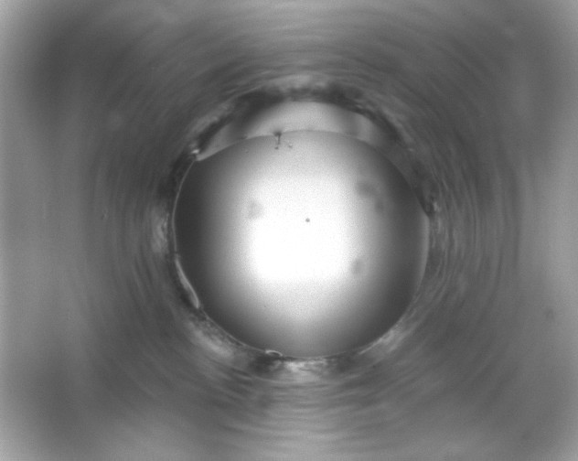 X0000066010188200603171515