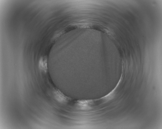 X0000066010190200603171515