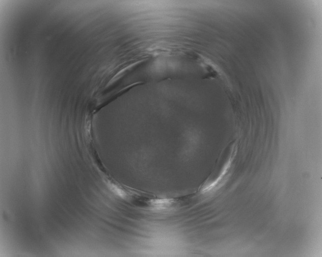 X0000066010192200603171515