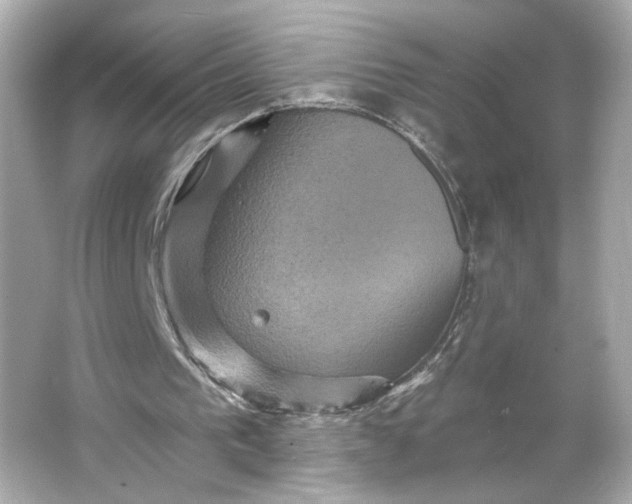 X0000066010193200603171515