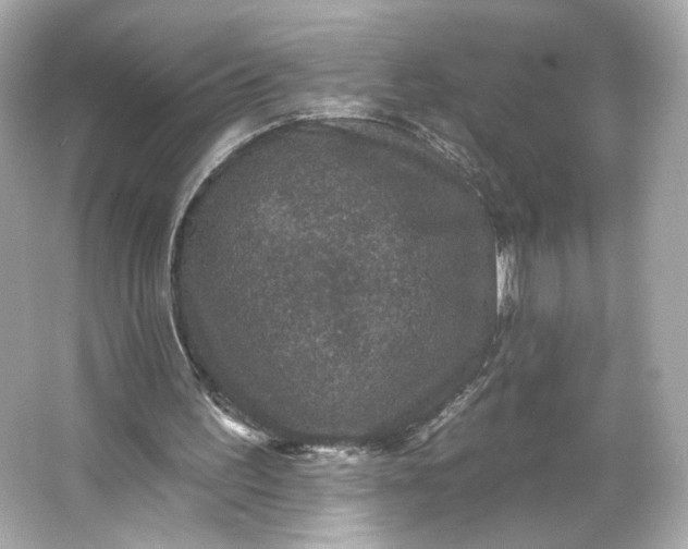 X0000066010195200603171515