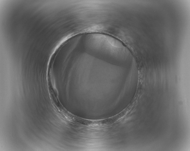 X0000066010196200603171515