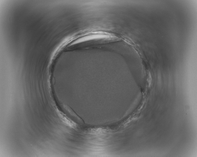 X0000066010197200603171515