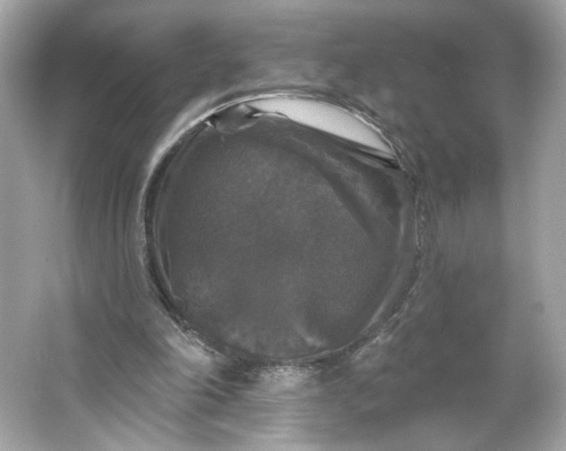 X0000066010198200603171514