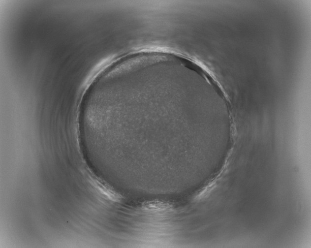 X0000066010199200603171514