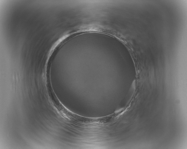 X0000066010200200603171514