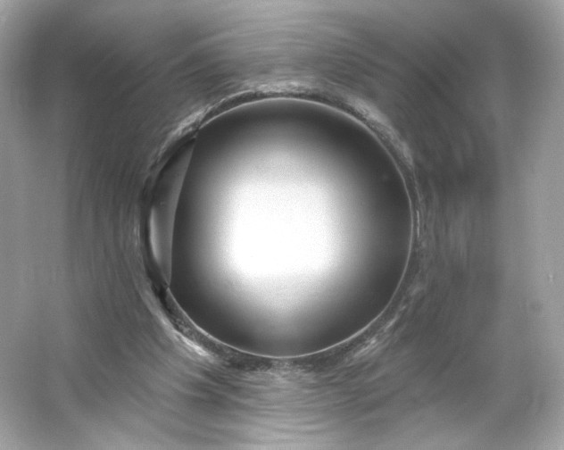 X0000066010201200603171514