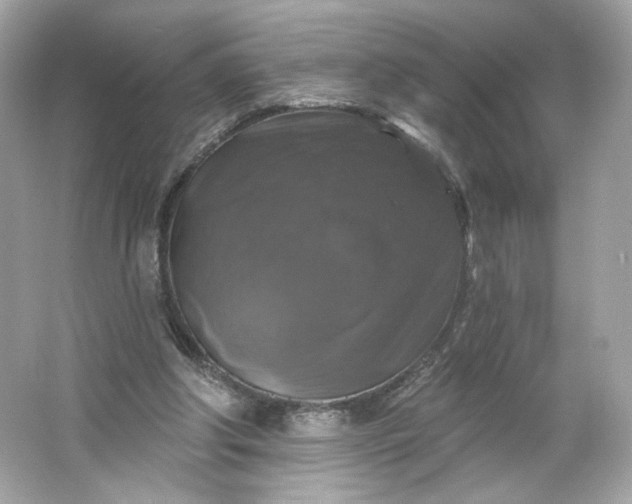 X0000066010202200603171514