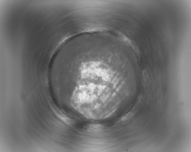 X0000066010203200603171514