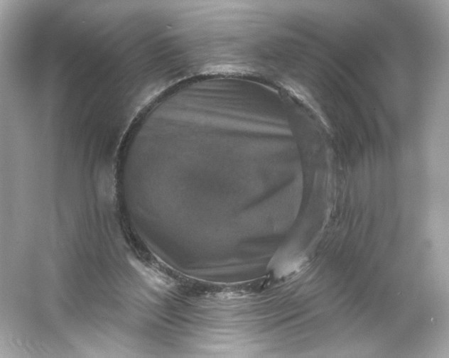 X0000066010204200603171514