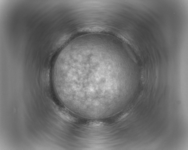 X0000066010206200603171514