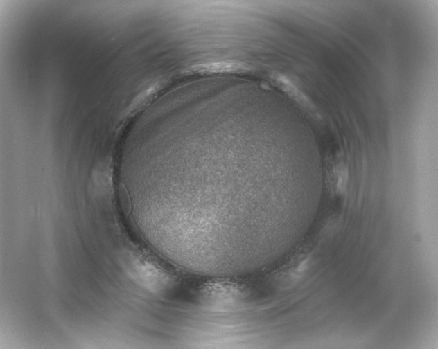 X0000066010207200603171514