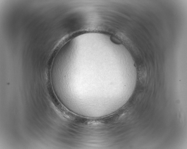 X0000066010208200603171514